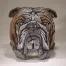 Bulldog Bust