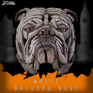 White Bulldog Bust