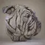 White Bulldog Bust