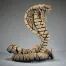 Cobra Snake - Desert