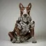 Brindle Bull Terrier Figure
